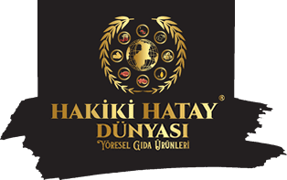 hakiki-hatay-web-logo